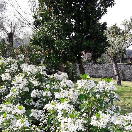 Casa D'auleira Farmház